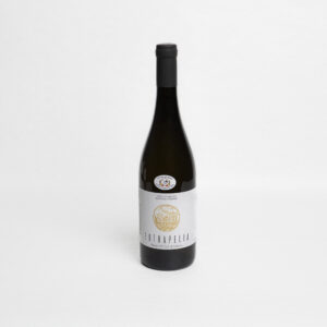 fiano-pettinati